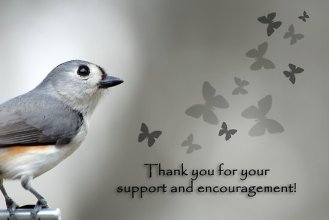 Image result for thank you quotes for support